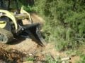 Blue Diamond Stump Bucket on a Cat track loader